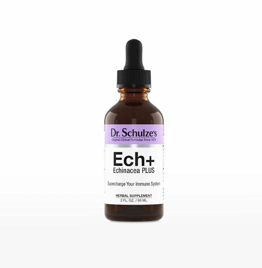 Dr. Schulze's Echinacea Plus - Der Supertreibstoff für das Immunsystem